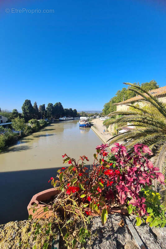 Terrain à SAINT-NAZAIRE-D&#039;AUDE
