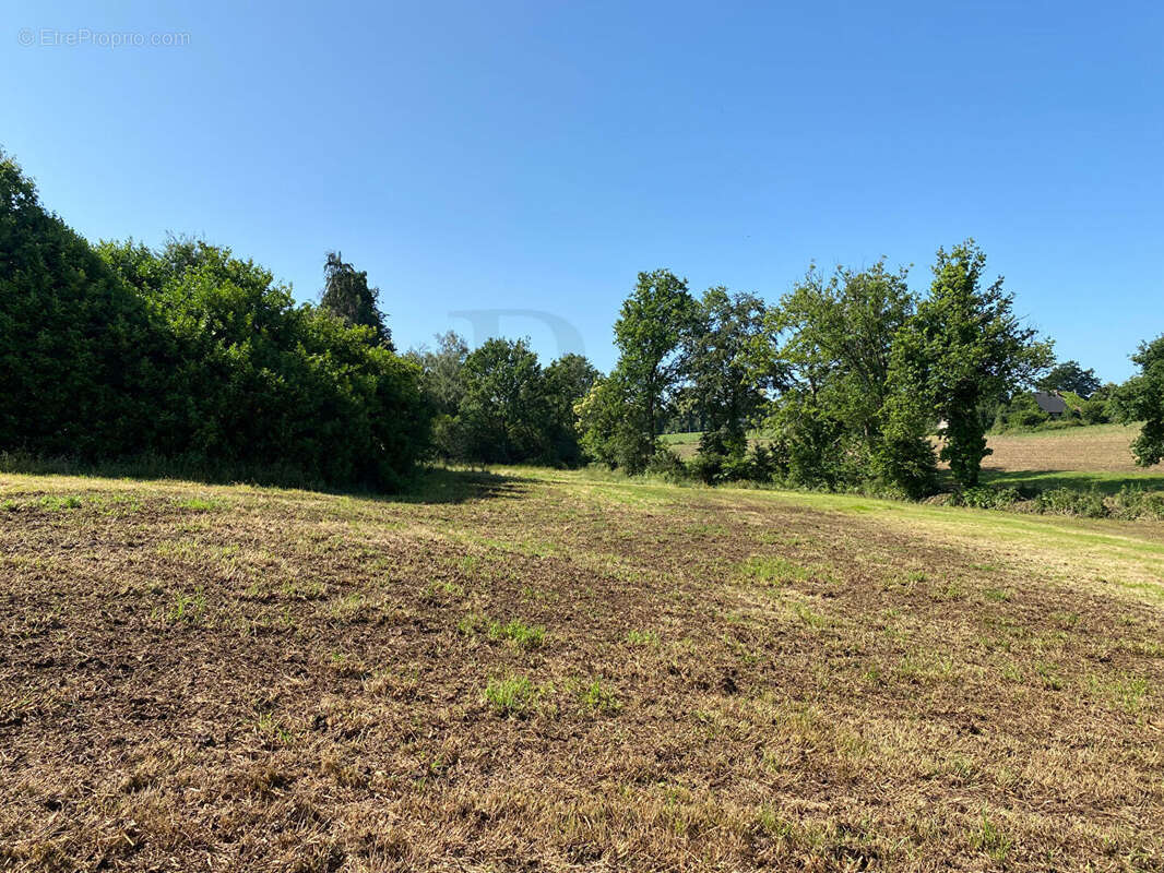 Maison à LE TEILLEUL