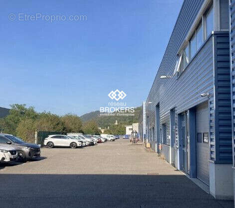 Commerce à CHAMP-SUR-DRAC