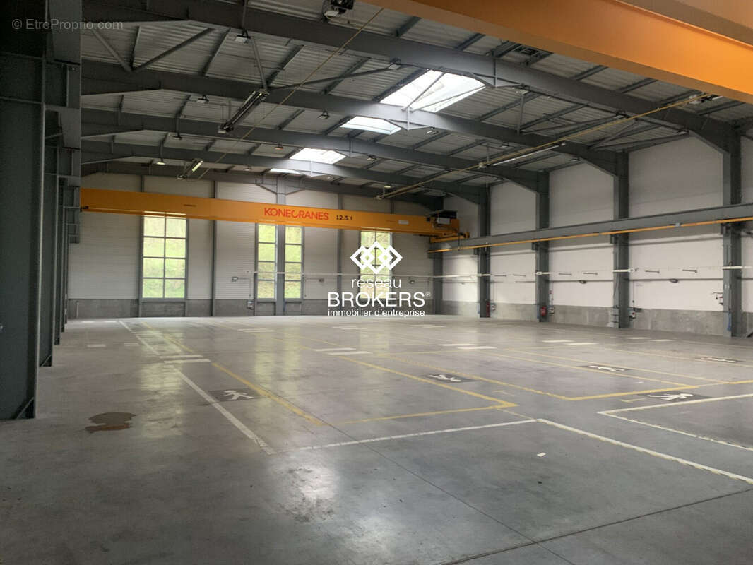 Commerce à CHAMP-SUR-DRAC