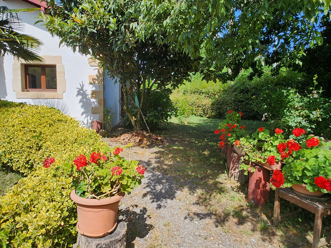 Maison à HASTINGUES