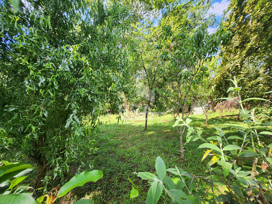 Maison à HASTINGUES