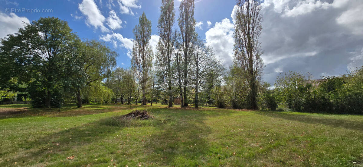 Terrain à LERE