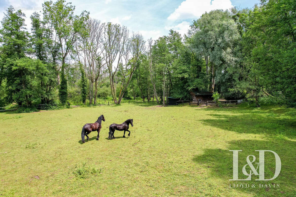 Maison à SAINT-MAURICE-MONTCOURONNE