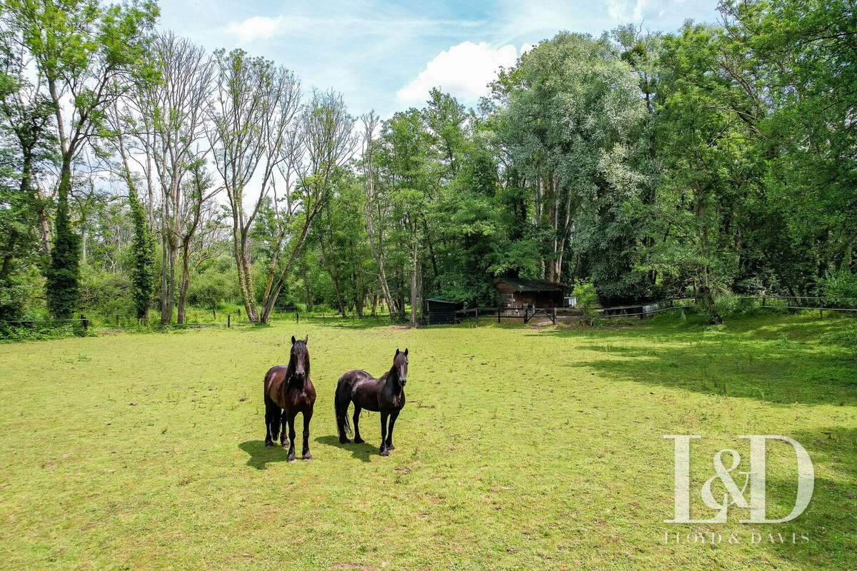 Maison à SAINT-MAURICE-MONTCOURONNE