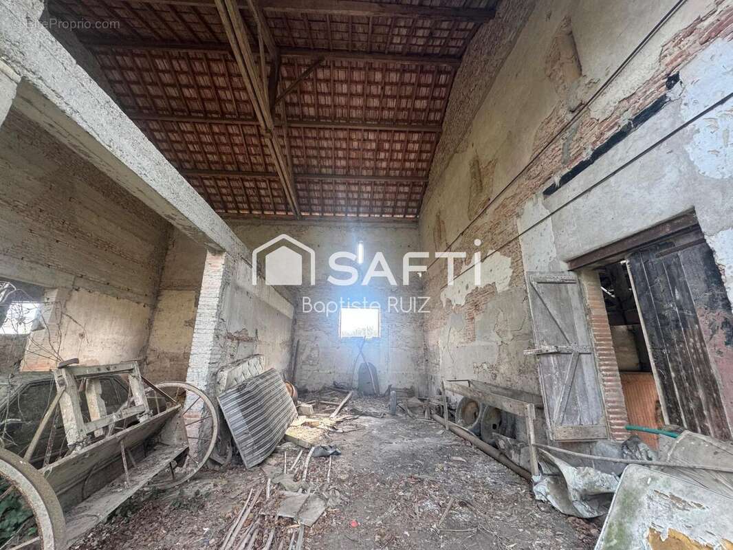 Photo 5 - Maison à CASTELFERRUS