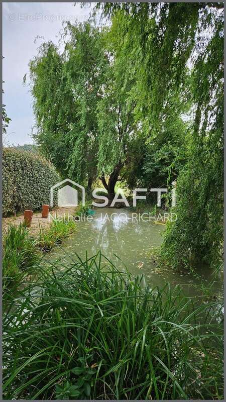 Photo 6 - Maison à MONBAZILLAC