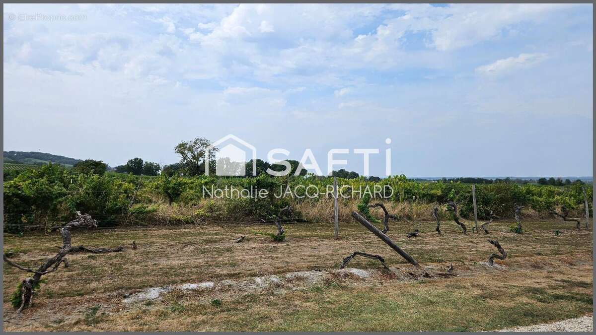 Photo 7 - Maison à MONBAZILLAC