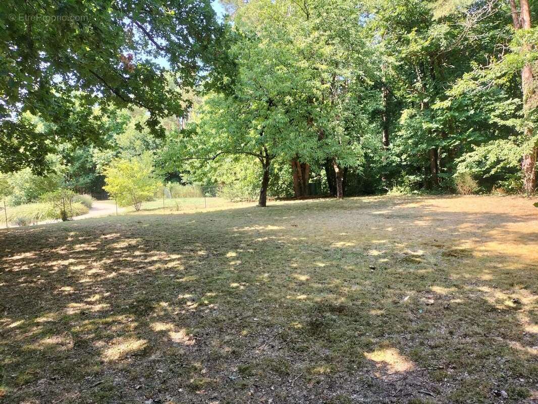 Photo 3 - Maison à MEUSNES