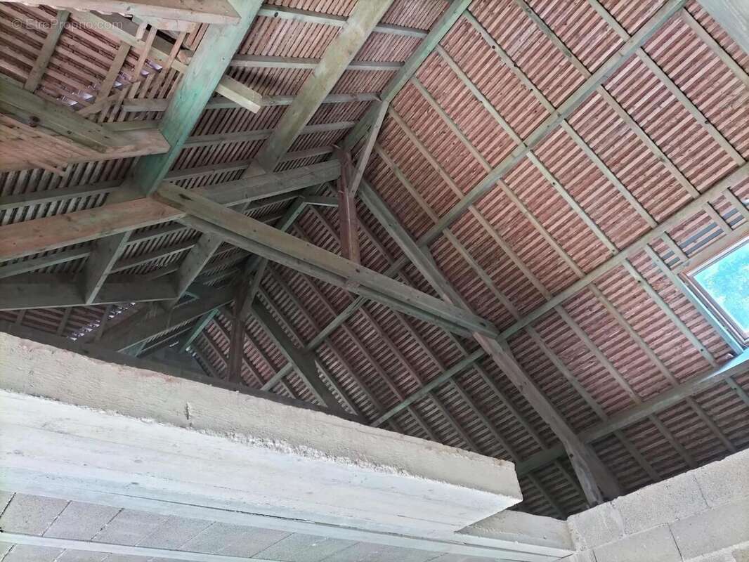 Photo 6 - Maison à MEUSNES