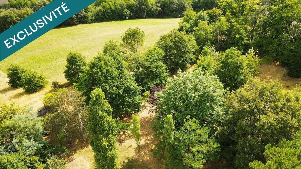 Photo 2 - Terrain à VERGT