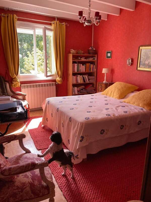 Photo 7 - Maison à SOUILHE