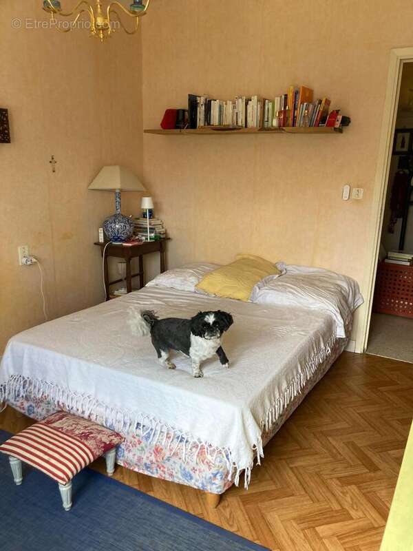 Photo 9 - Maison à SOUILHE