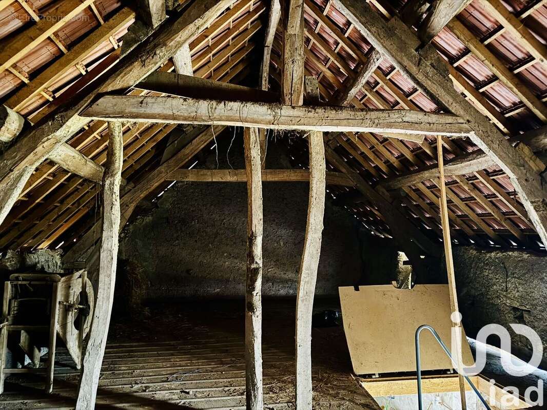 Photo 6 - Maison à CLERY-SAINT-ANDRE