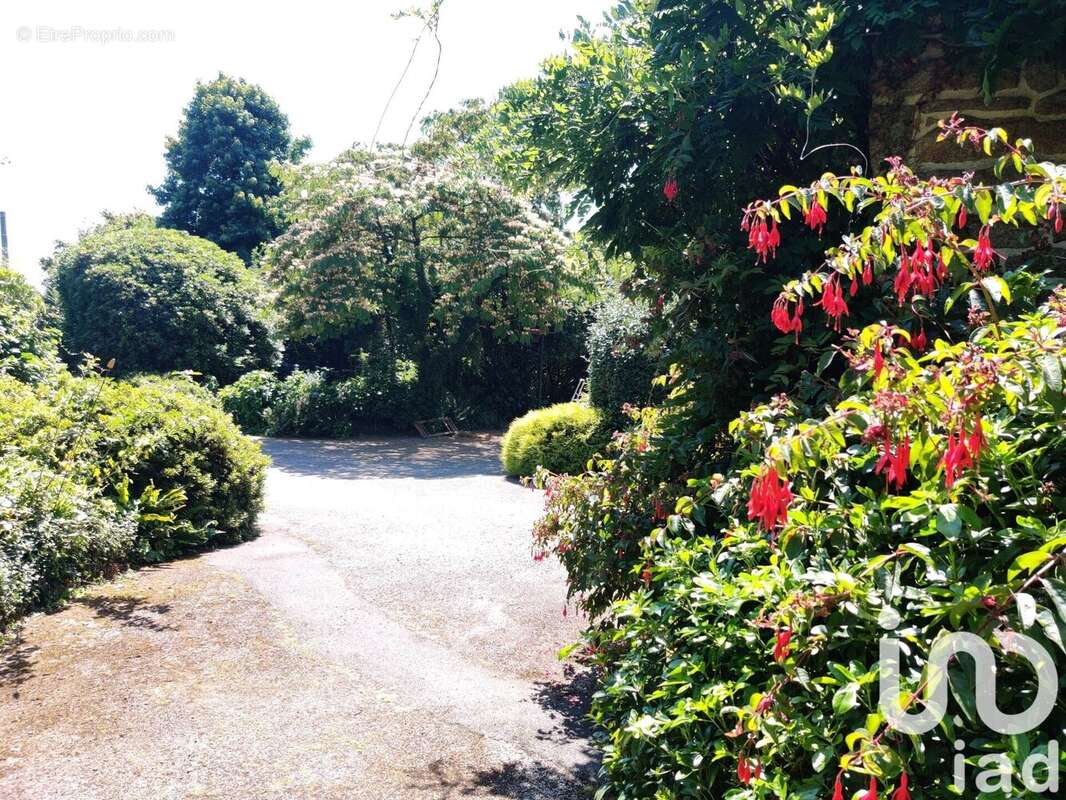 Photo 2 - Maison à SCAER