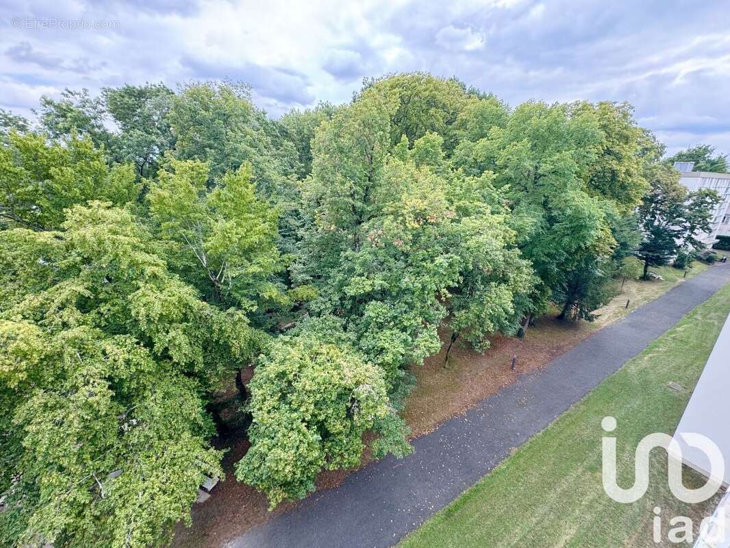 Photo 9 - Appartement à SAINT-JEAN-LE-BLANC