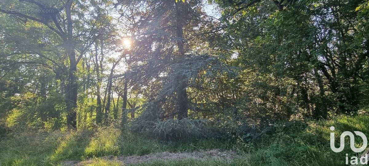 Photo 6 - Maison à FONTENAY-SUR-LOING