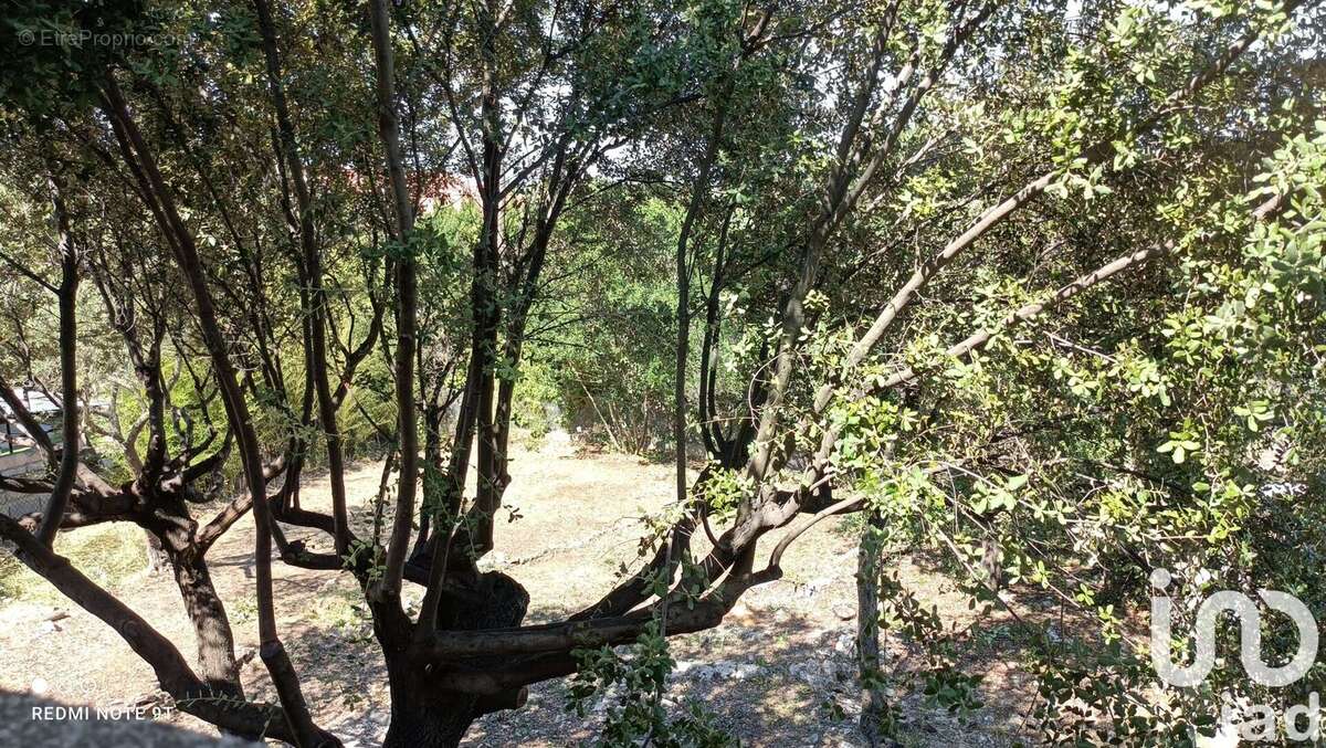 Photo 5 - Terrain à MONTPELLIER