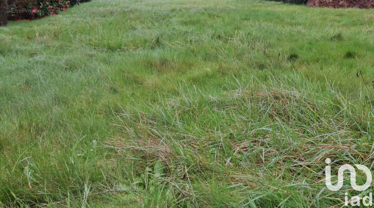 Photo 1 - Maison à PLOUENAN