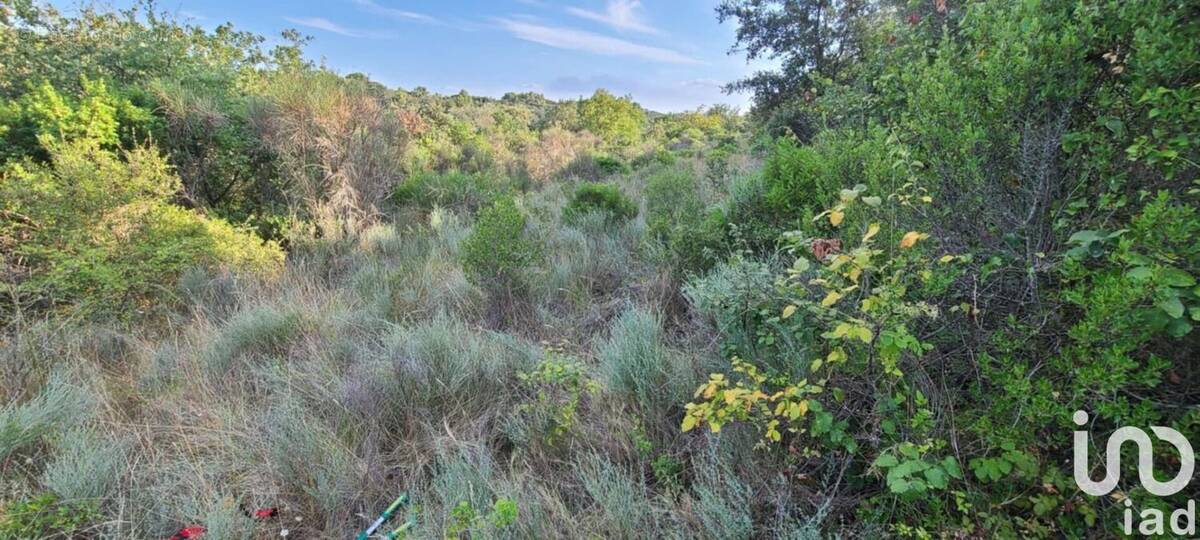 Photo 1 - Terrain à GABIAN