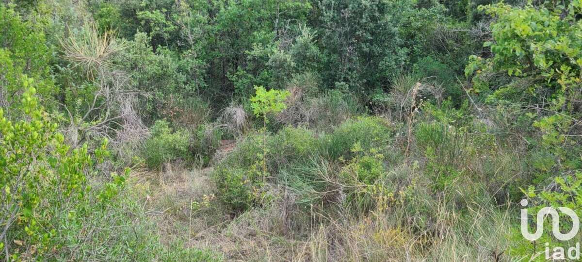Photo 2 - Terrain à GABIAN