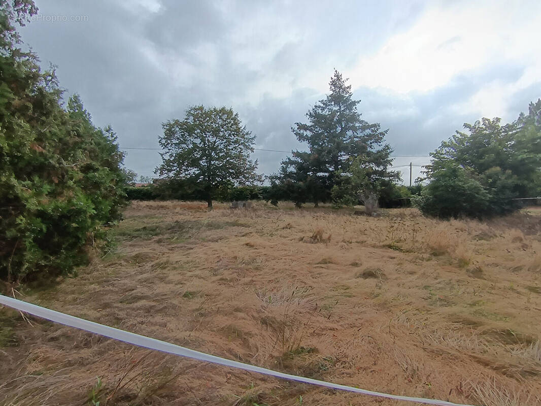 Terrain à CARBONNE
