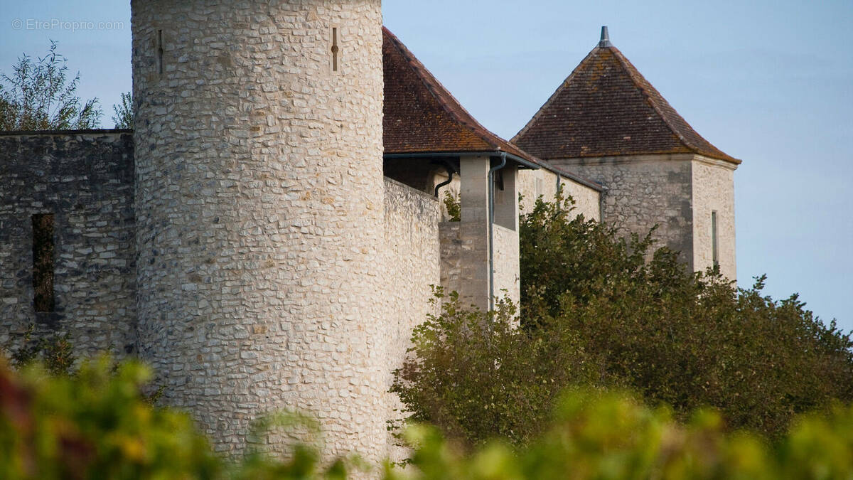 Terrain à SAINT-ANDRE-DE-CUBZAC