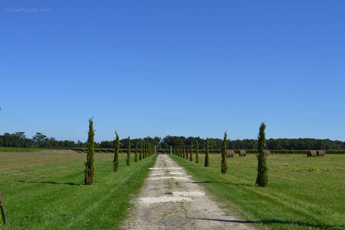 Terrain à LIBOURNE