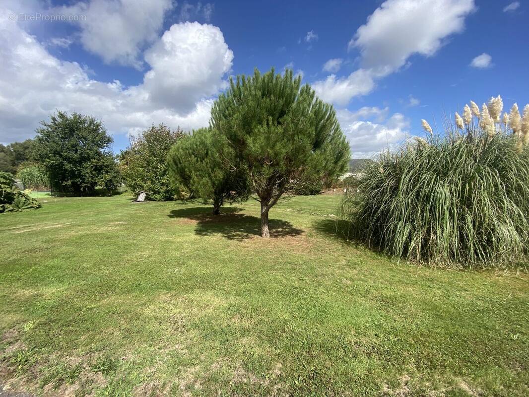 Terrain à LANGUIDIC