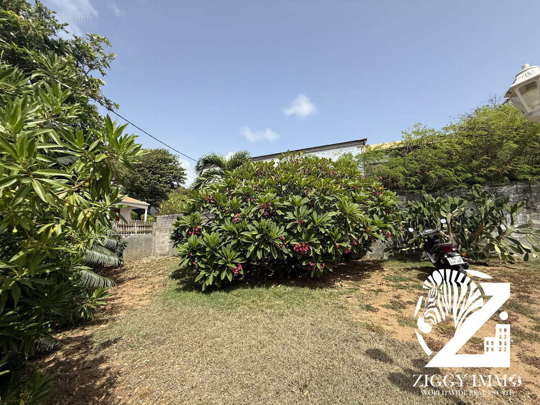 Maison à TERRE-DE-HAUT