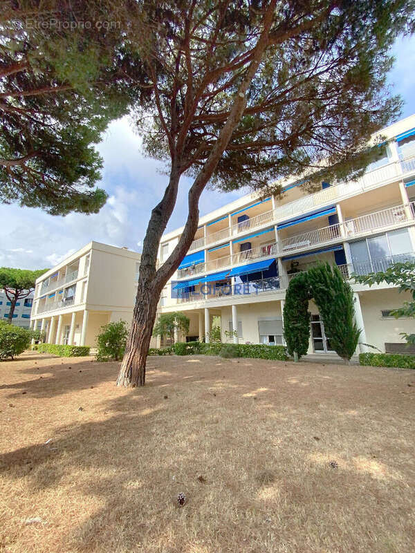 Appartement à LA GRANDE-MOTTE