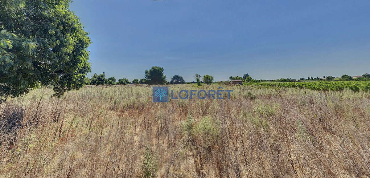 Terrain à GALLARGUES-LE-MONTUEUX