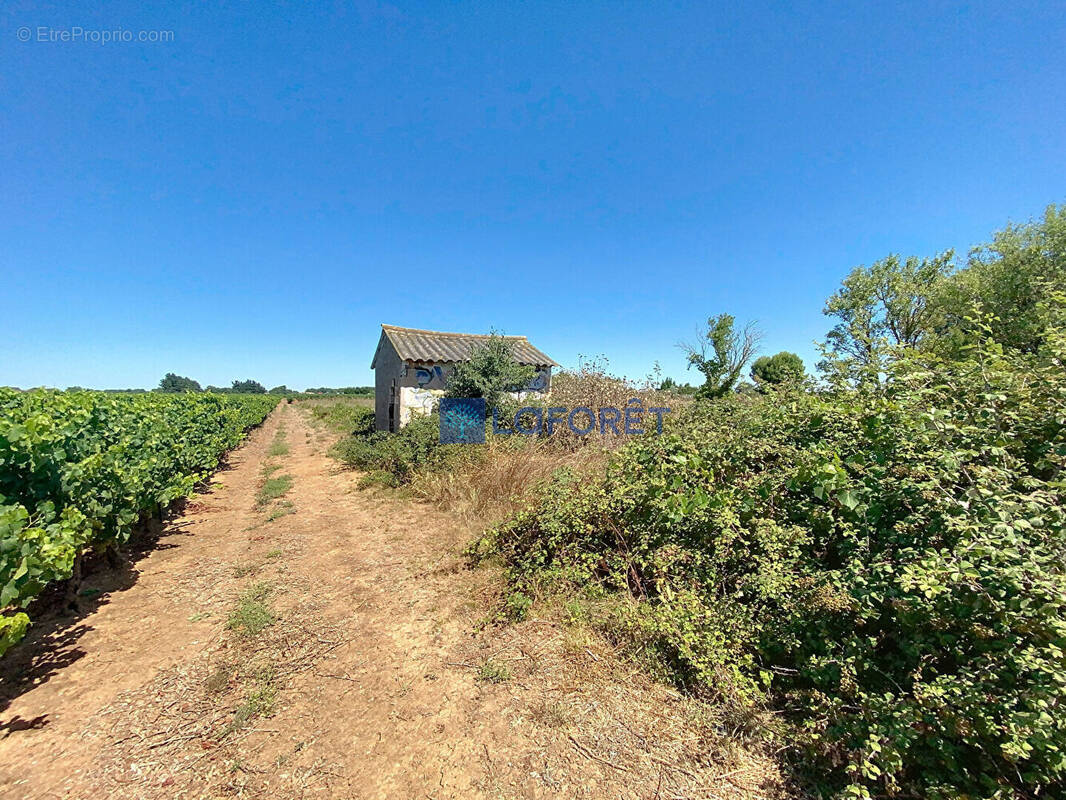 Terrain à GALLARGUES-LE-MONTUEUX