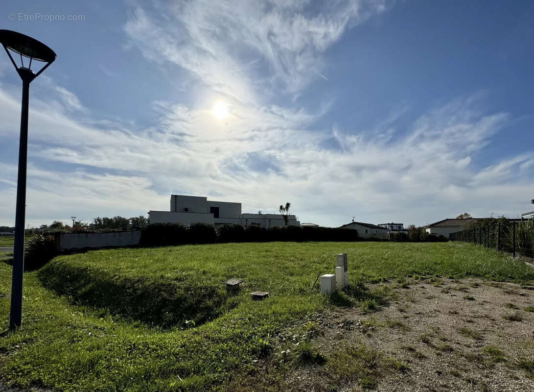 Terrain à MONTAUBAN