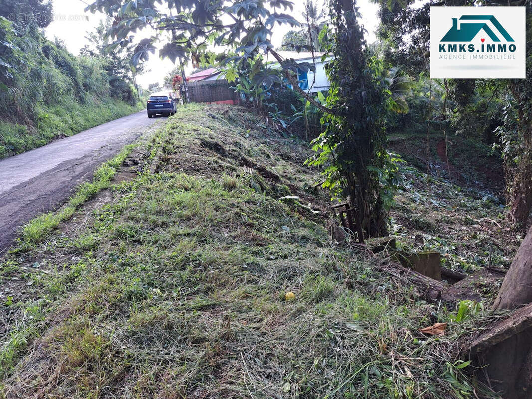 Terrain à LE LAMENTIN