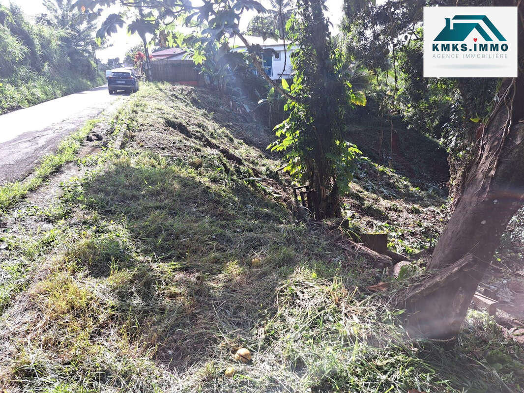 Terrain à LE LAMENTIN