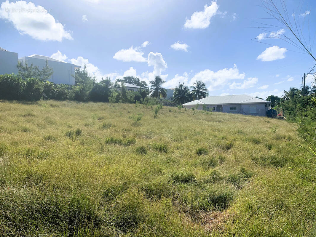 Terrain à SAINT-FRANCOIS