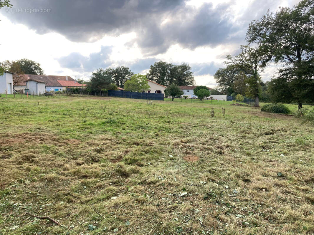 Terrain à SAINT-MAURICE-DES-LIONS