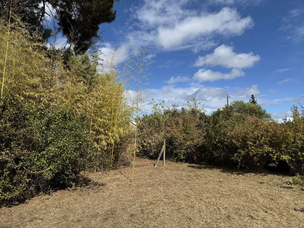 Terrain à CASTELJALOUX