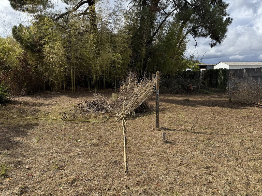 Terrain à CASTELJALOUX