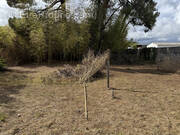 Terrain à CASTELJALOUX