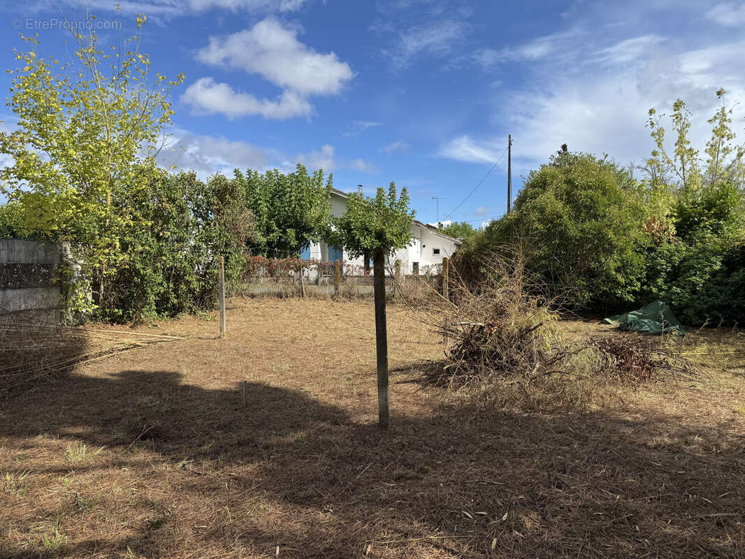 Terrain à CASTELJALOUX