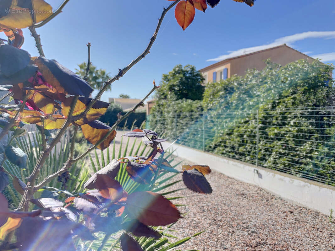 Maison à MARSEILLAN
