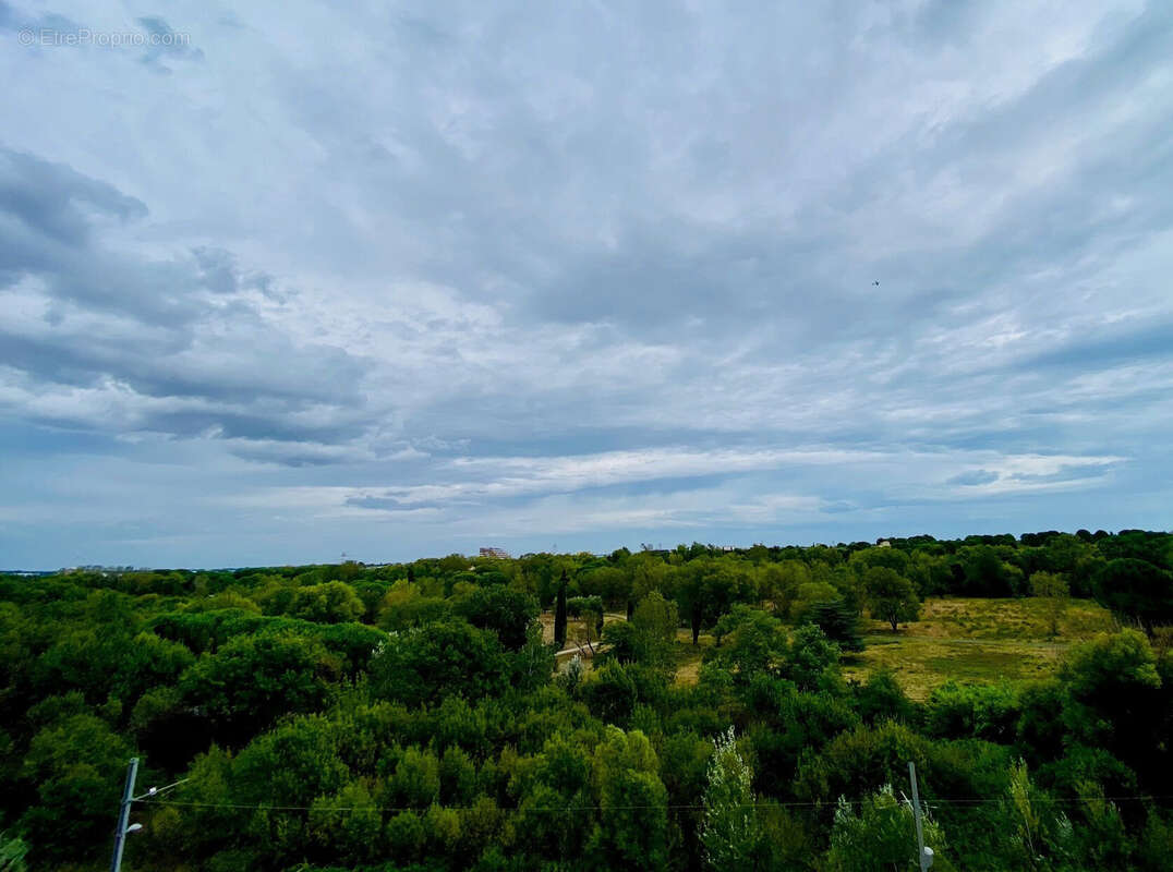 Appartement à LATTES