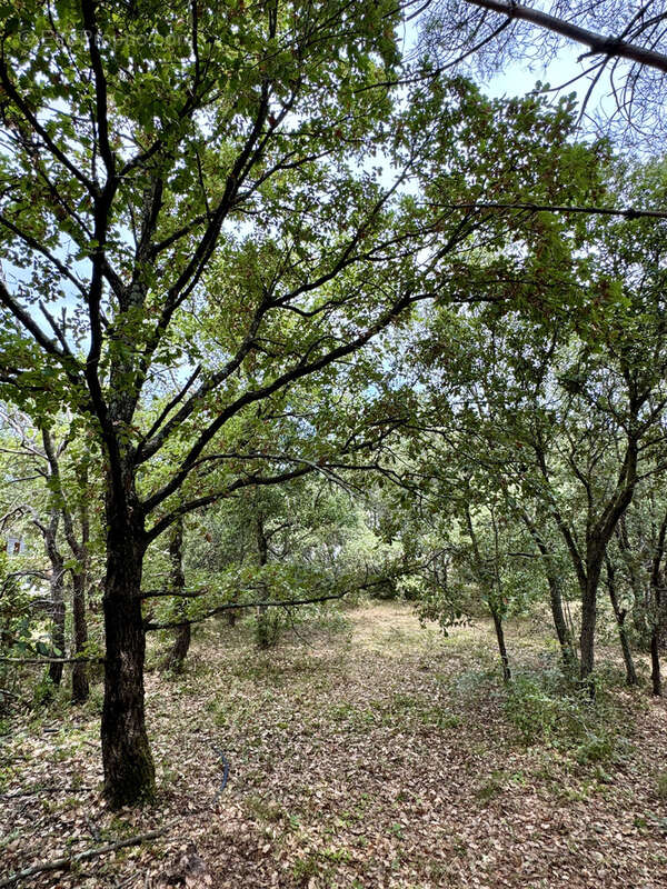Terrain à UZES