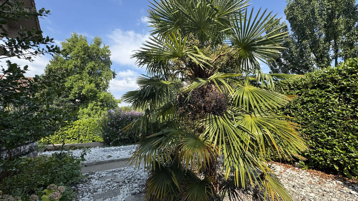 Maison à AIX-LES-BAINS