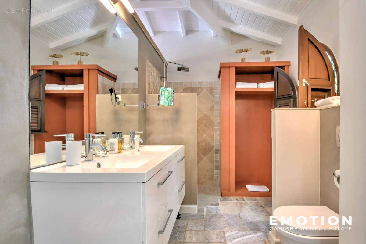 Commerce à SAINT-MARTIN