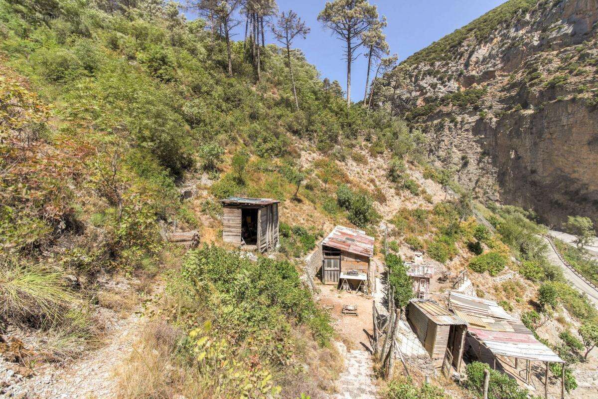 Maison à TOURNEFORT