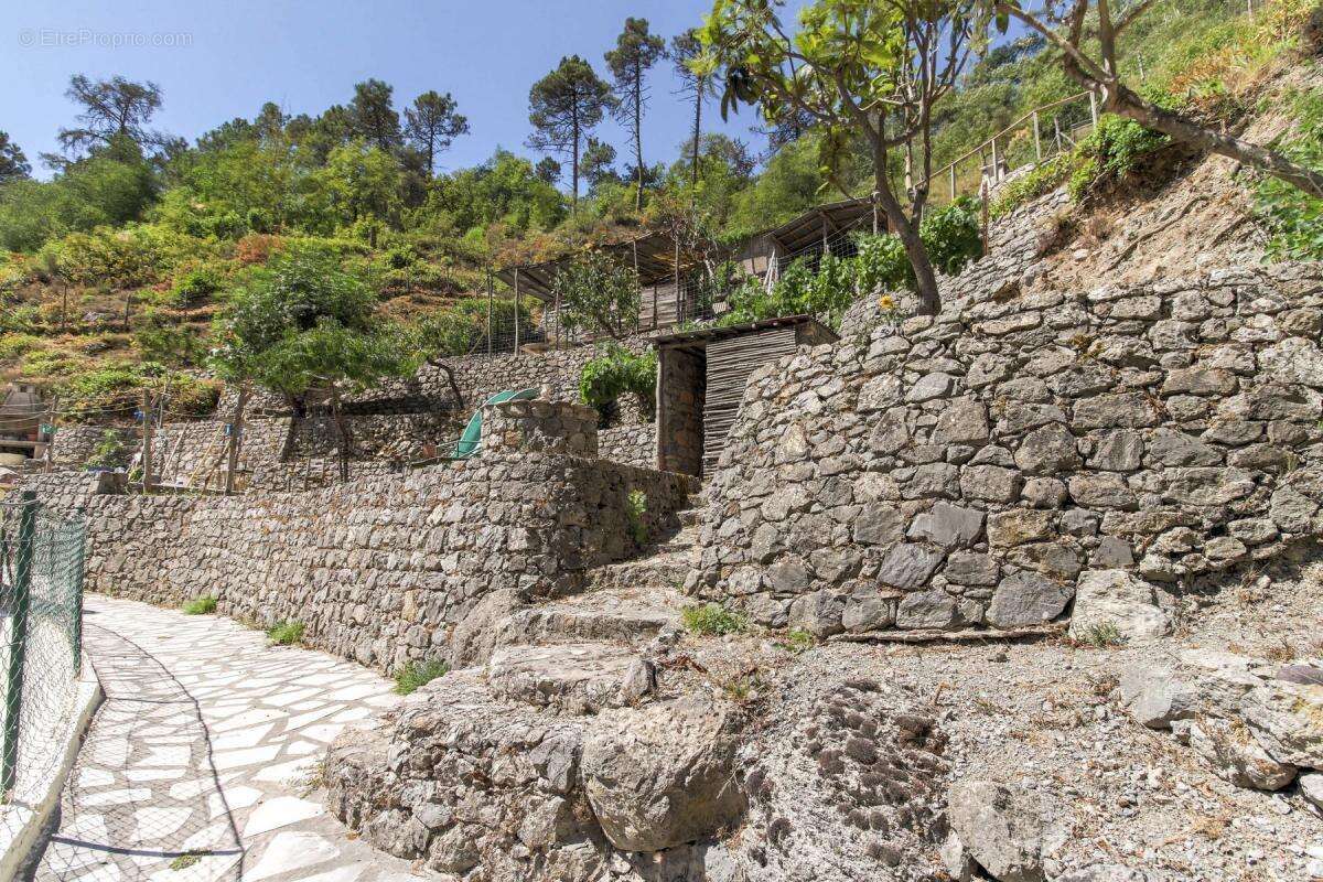 Maison à TOURNEFORT