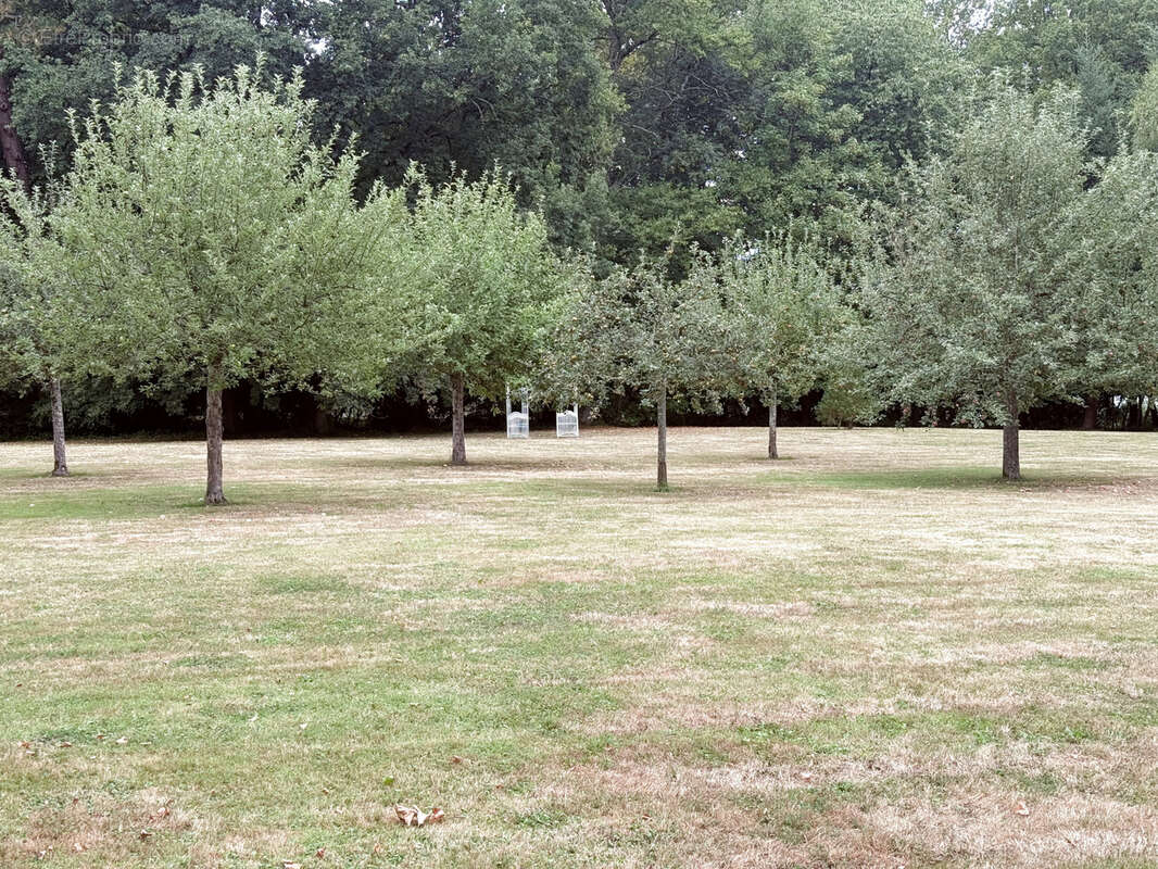 Maison à SAINT-DENIS-SUR-SARTHON